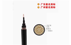 ZB-KVVP -450/750V控制電纜 ZB-KVVP -450/750V控制電纜